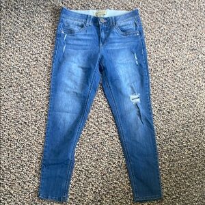 Democracy Blue Skinny Jeans with Distressed Details